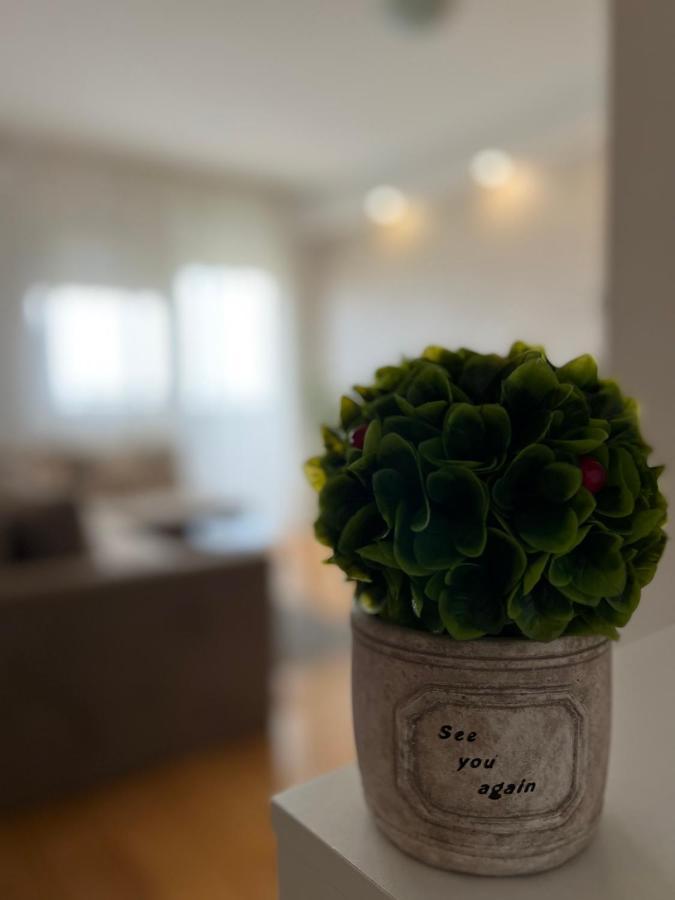 Apartmán Delete 4 Bělehrad Exteriér fotografie